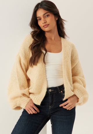 Cozy Cardigan