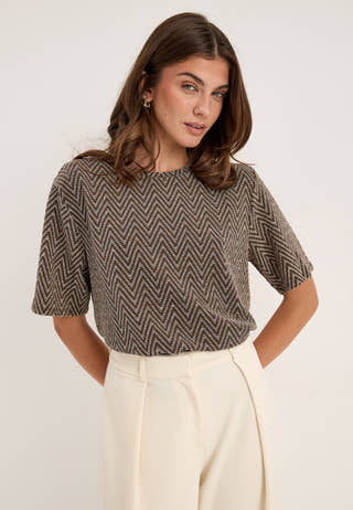 Pcfina Ss Oversize Tee Jrs Brown
