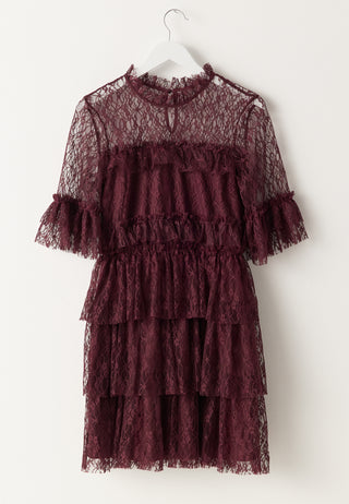 Frill Lace Dress