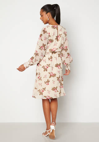 Loelle Chiffon Dress