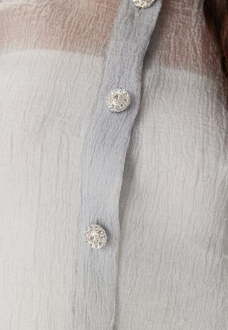 Puff Sleeve Organza Blouse