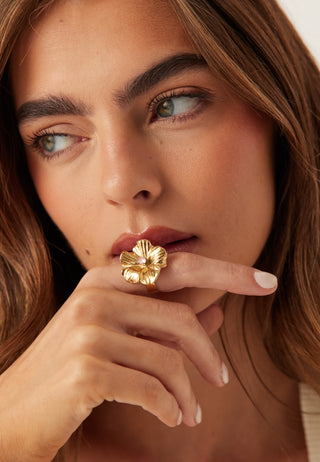 Daisy Ring Celebration