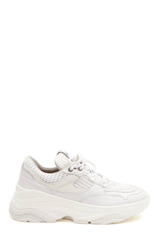 Gavina Trainer