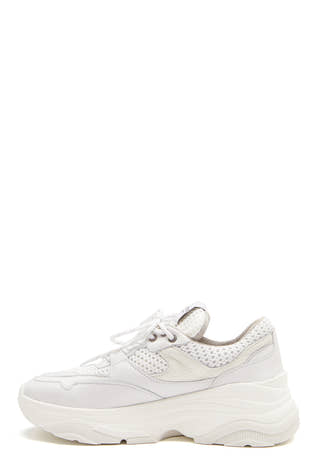 Gavina Trainer