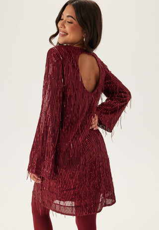 Yaslantra Ls Sequin Fringe Dress