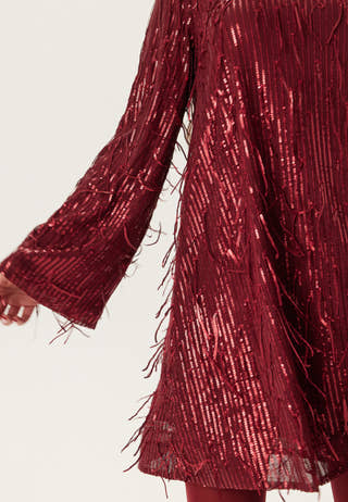 Yaslantra Ls Sequin Fringe Dress